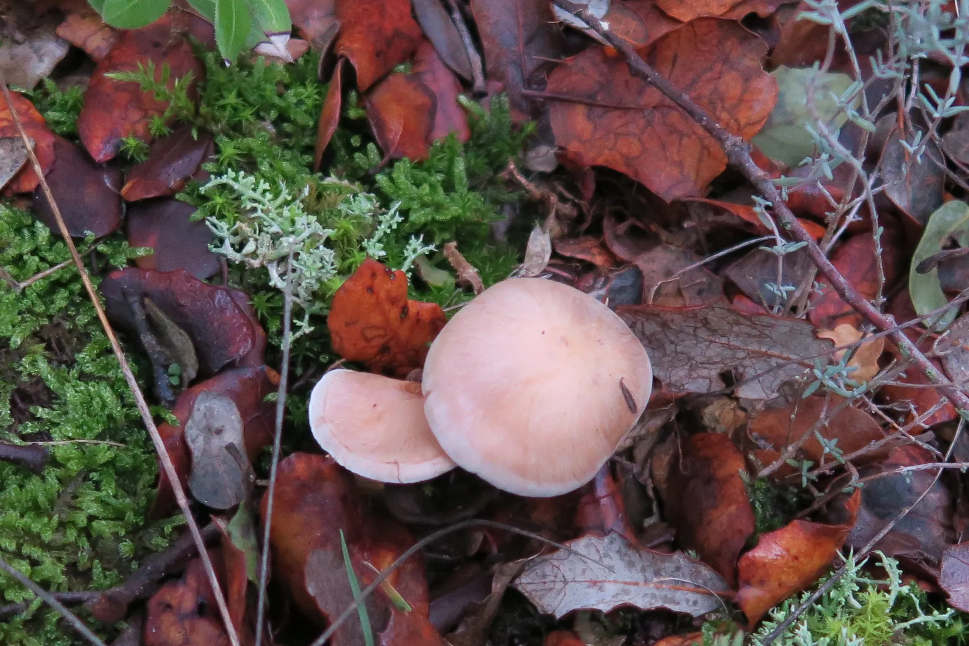 1 -